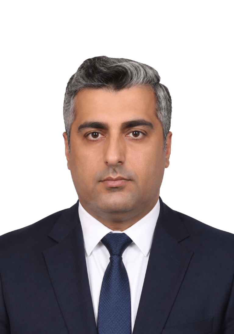 حمید امیری